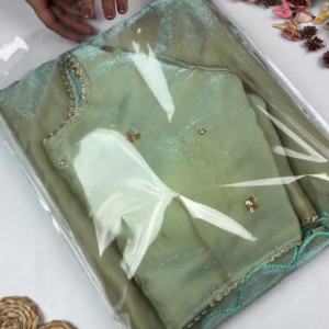 Ethereal Seafoam Green Saree with Botanical Artistry